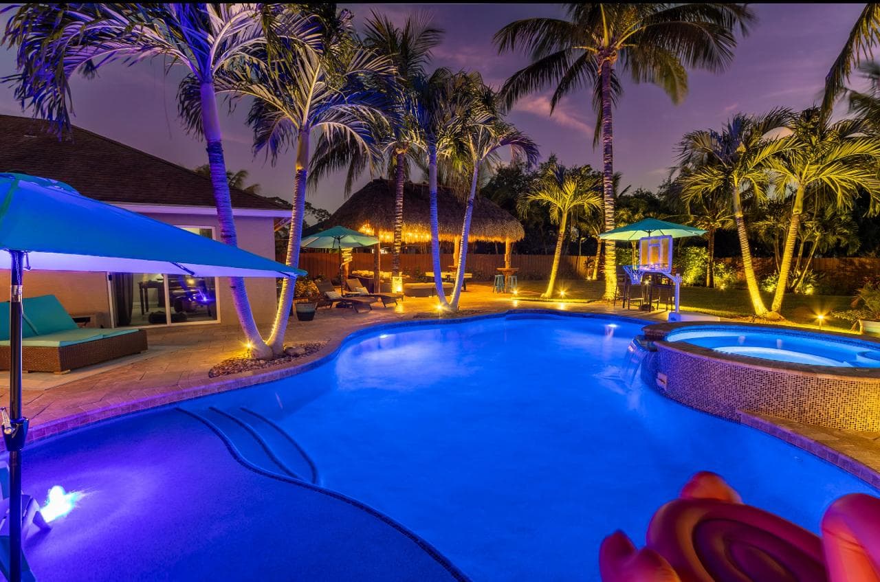 Pool illuminated at night with palm trees